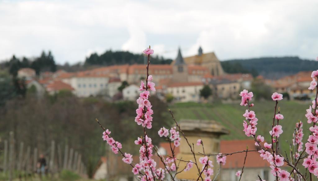 Gites Le Lancelot Ambierle Bagian luar foto